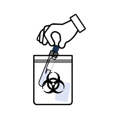 svg
