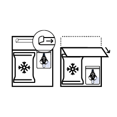 svg