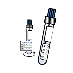 svg