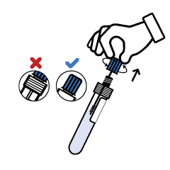 svg