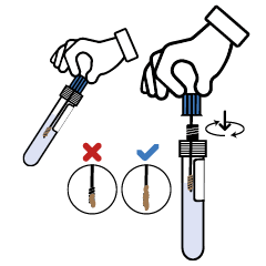 svg